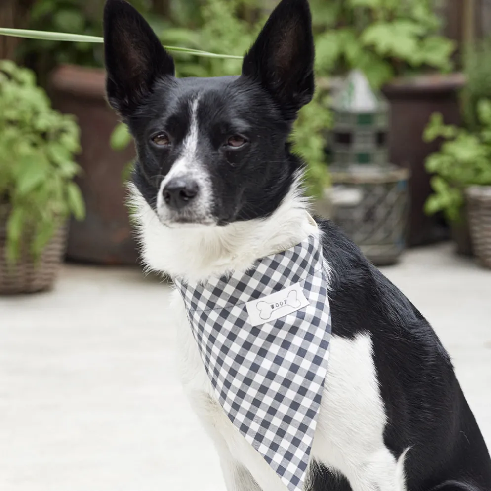 Hundetilbehør Burda 5702