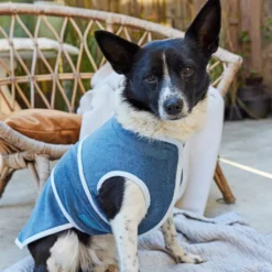 Hundetilbehør Burda 5702