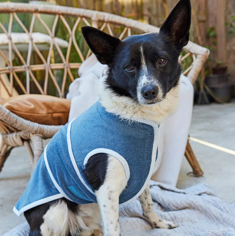 Hundetilbehør Burda 5702